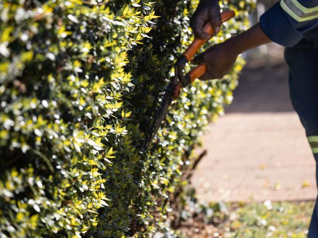 Landscaping crew at work on a Perth property