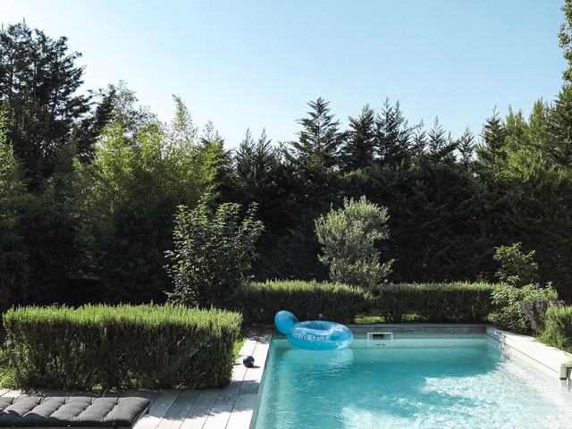 Pool with clipped hedging and lawn to the boundary