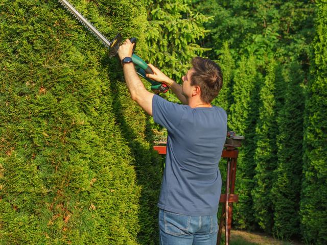 Garden Maintenance & Care Plans in Perth